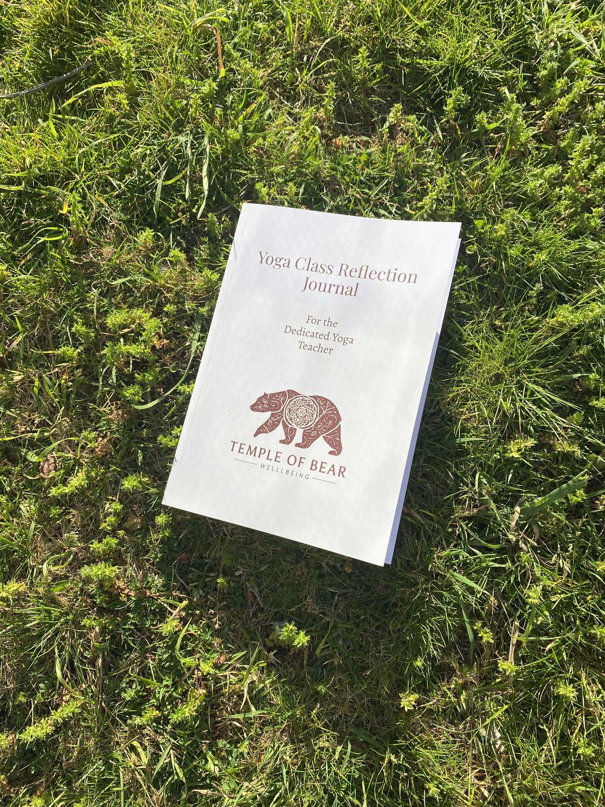 Journal prompt and free writing