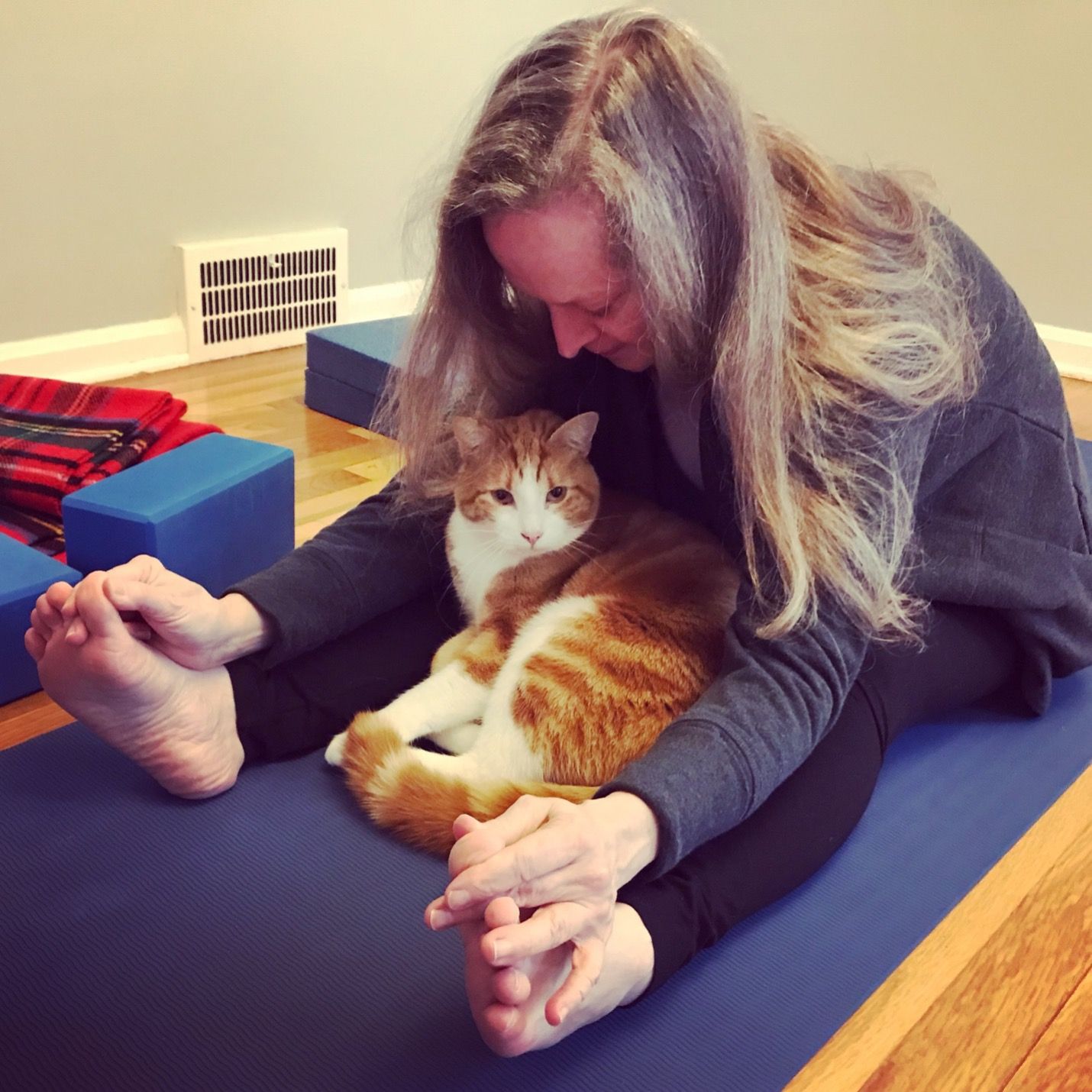 What is yoga?