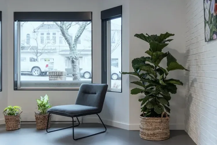 Studio chair and plants