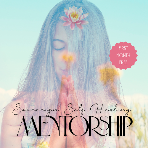 self healer mentorship