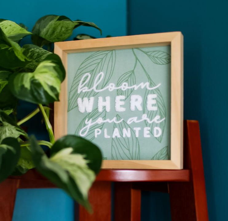 bloom yoga, prenatal yoga, postnatal yoga, Pilates, postpartum, community