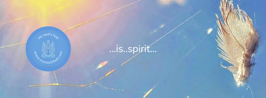 a corner of a spider web with the sun shining through behind it and a feather dancing within. the my soul's fuel circular logo in blue with white font is overlayed near the left side.