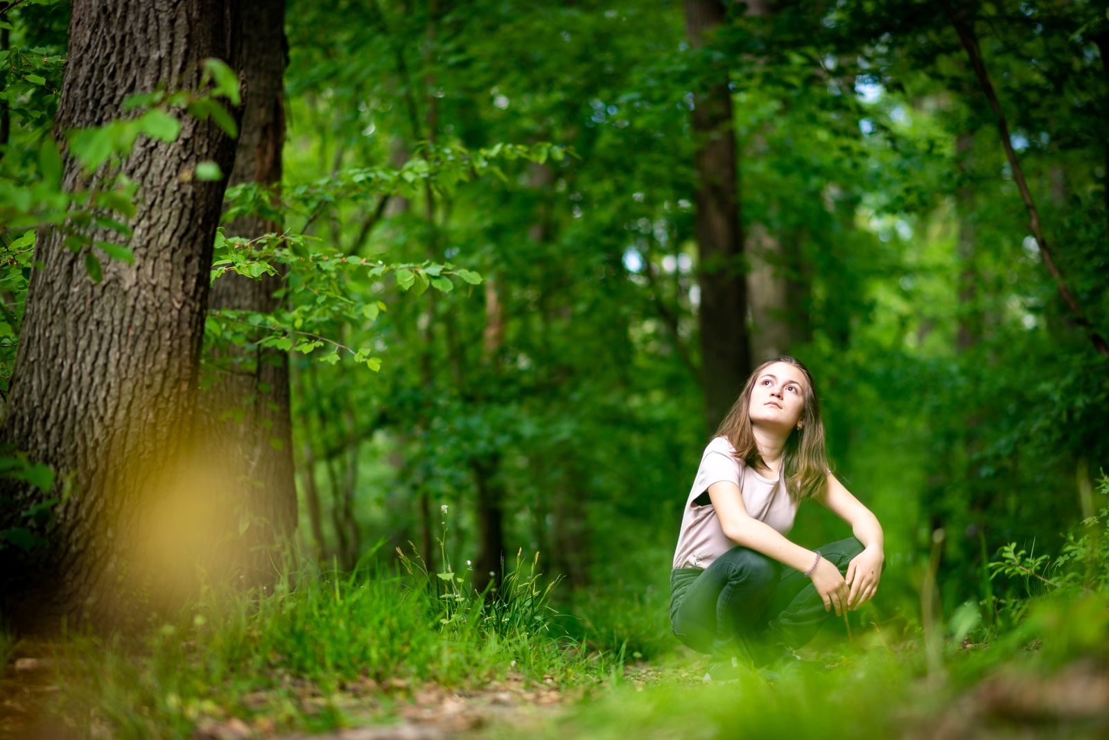 Forest bathing, great northern catskills, forest therapy, catskills, upstate