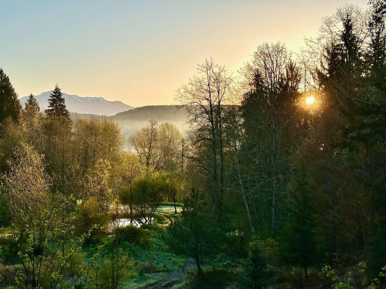 View of distant mountains with hills and trees and a pond in the foreground, as seen from the retreat center at Xuan Xiu Gong Taoist Sanctuary