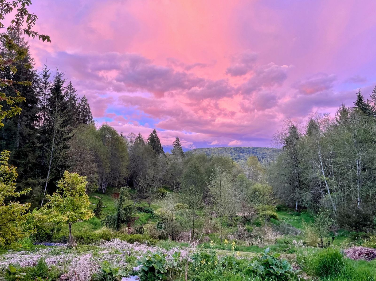 Sunrise view over the meadow and distant hills surrounded by forest at the Xuan Xiu Gong Taoist Sanctuary and Retreat Center