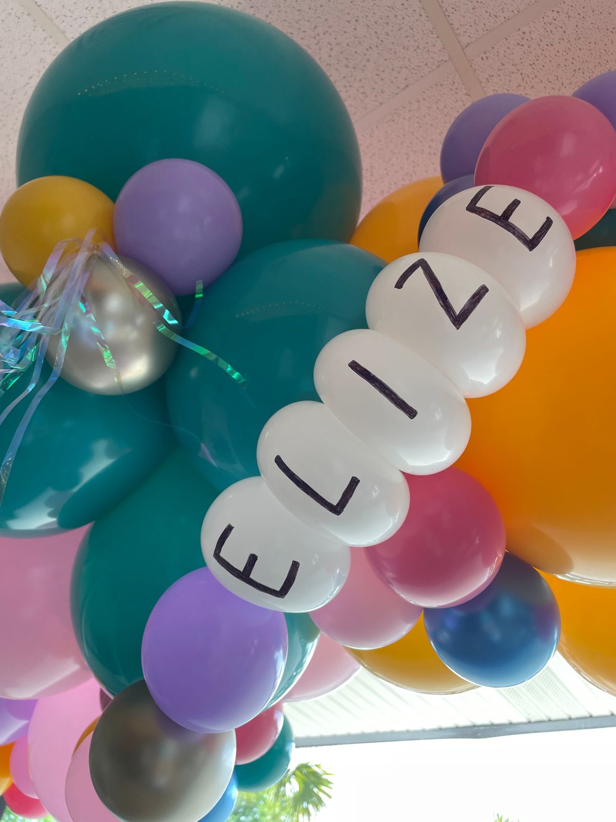 Charleston Kids birthday parties