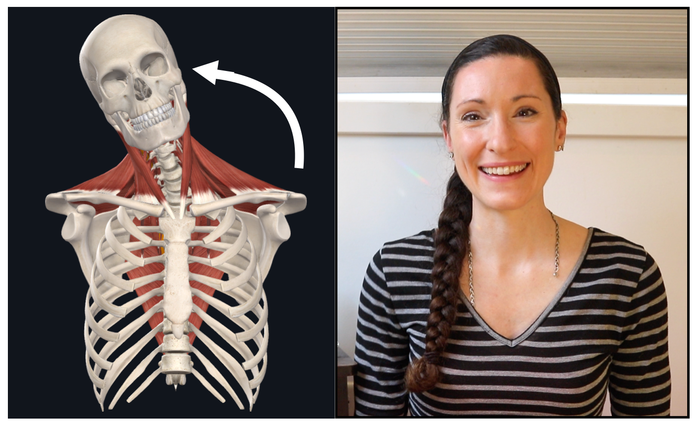 Laura Goellner Yoga Therapy Anatomy