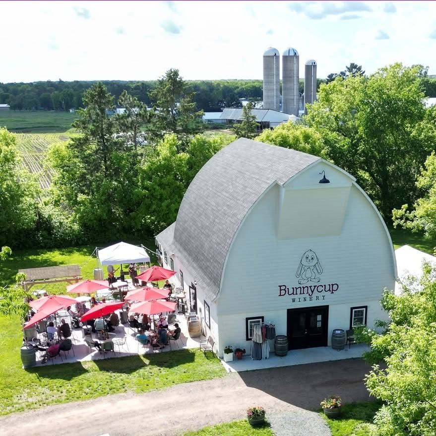 Beginner friendly outdoor yoga at Bunnycup Winery Luck, WI  