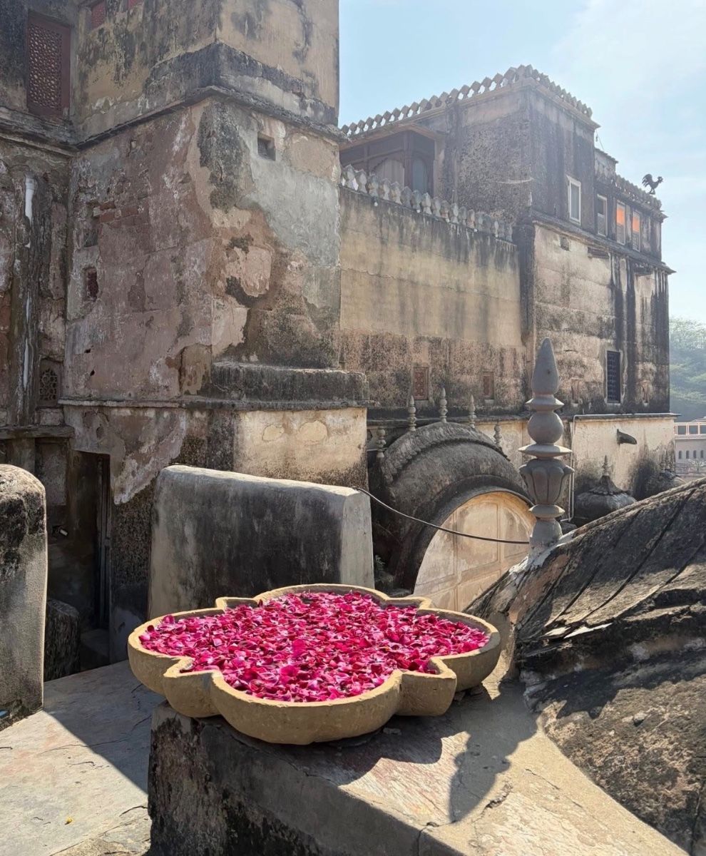 Ancient Indian stone building forming backdrop, stone bowl of deepest pink Rose Petals in foreground creating contrast.