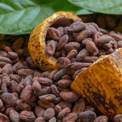 cacao #2