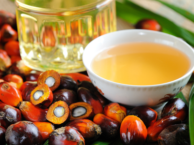 Aceite de palma colombiano: exportar a Europa sin deforestación ya no es opcional
