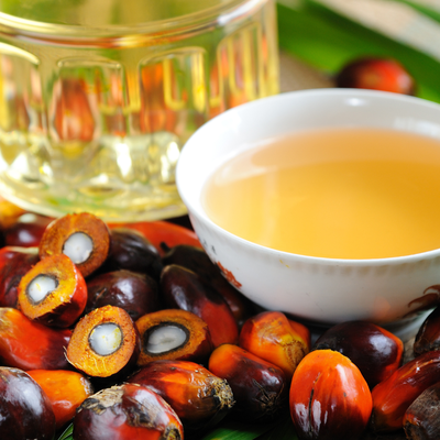 Aceite de palma colombiano: exportar a Europa sin deforestación ya no es opcional