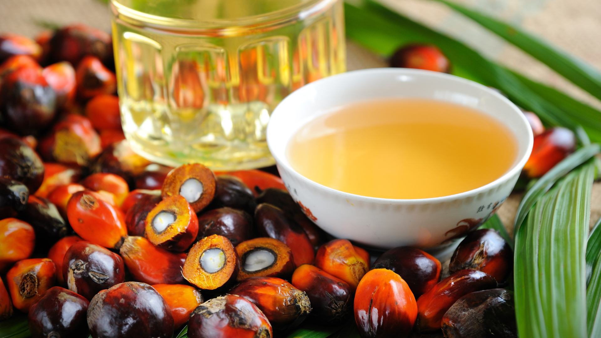 Aceite de palma colombiano: exportar a Europa sin deforestación ya no es opcional