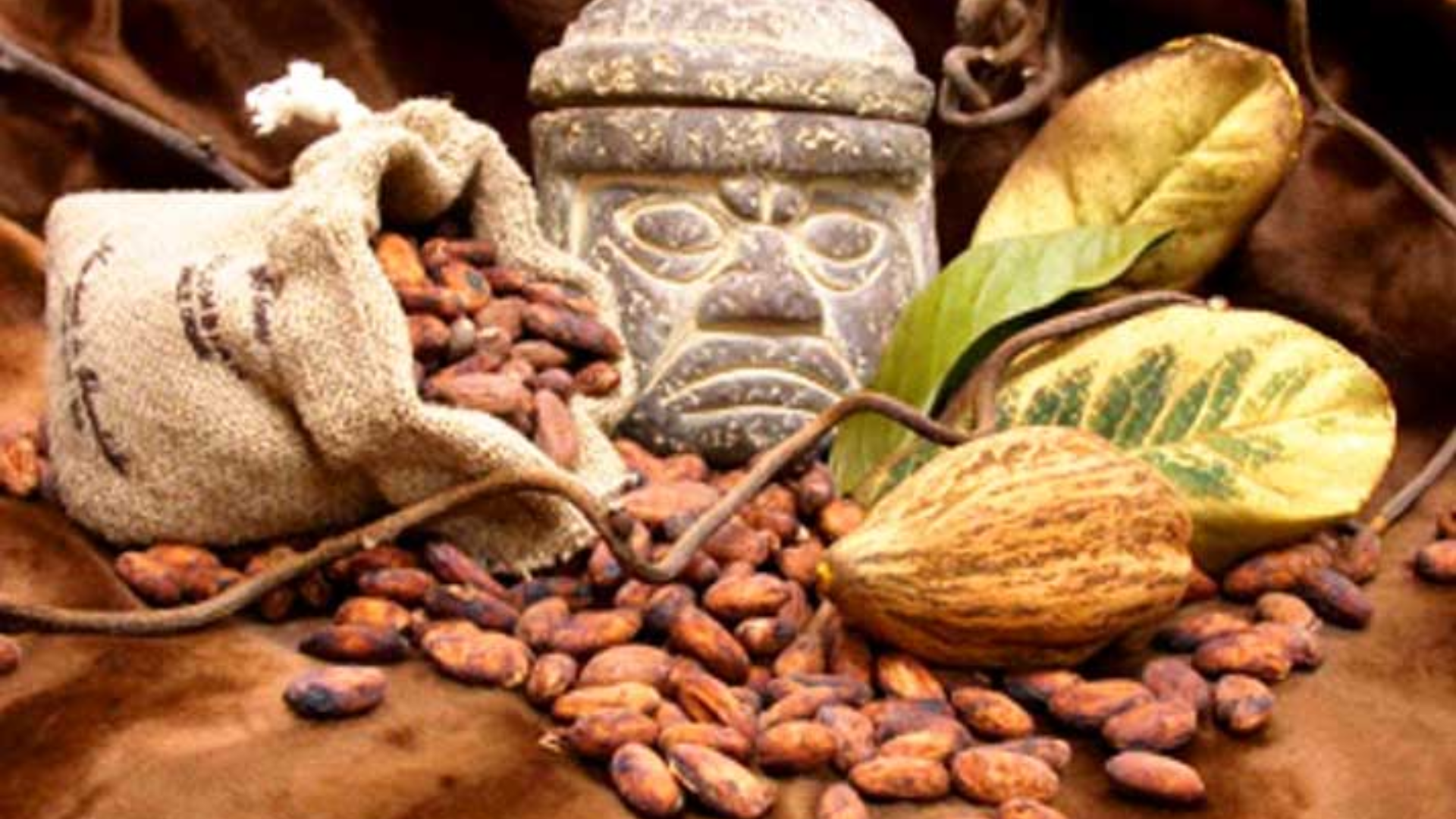México y el cacao frente al EUDR: ¿una oportunidad o una amenaza para los productores?