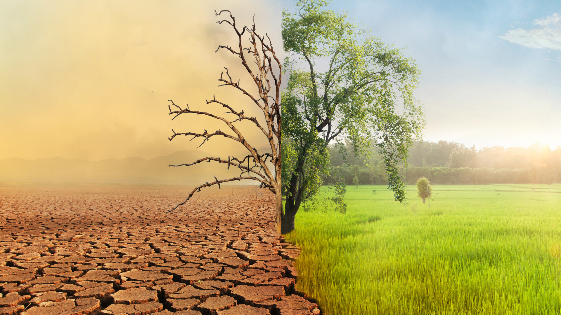 cambio climatico