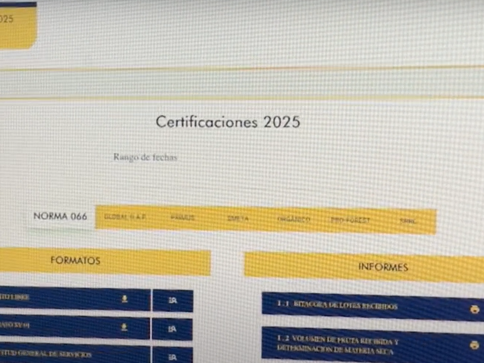 Imagen adicional