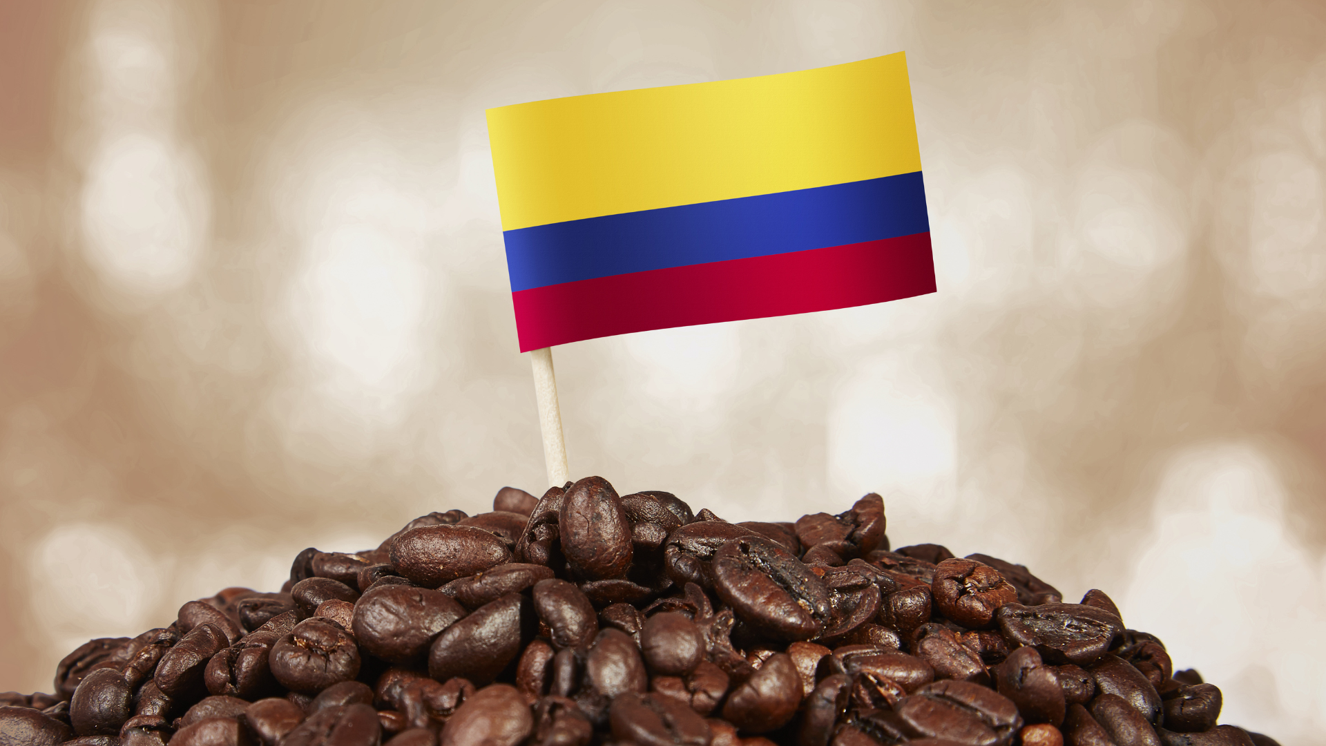 #1 Colombia reafirma su liderazgo como tercer exportador de café a nivel mundial