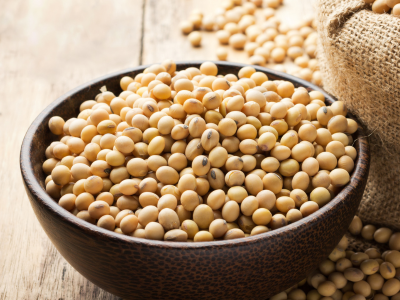soya #1
