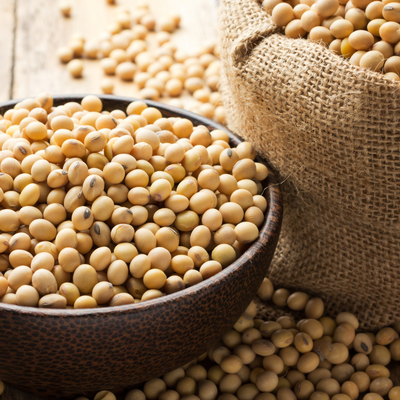 soya #1