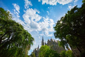 Healy Hall with verdant trees
