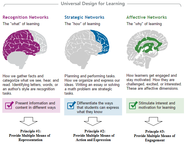 universal design for learning - recognition networks, strategic networks, affective networks