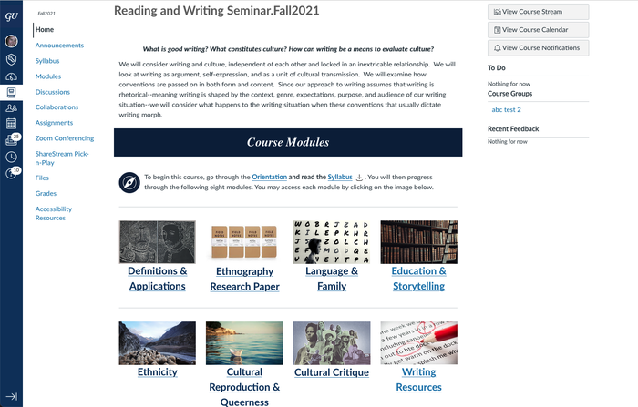 Canvas course with image grid on the homepage