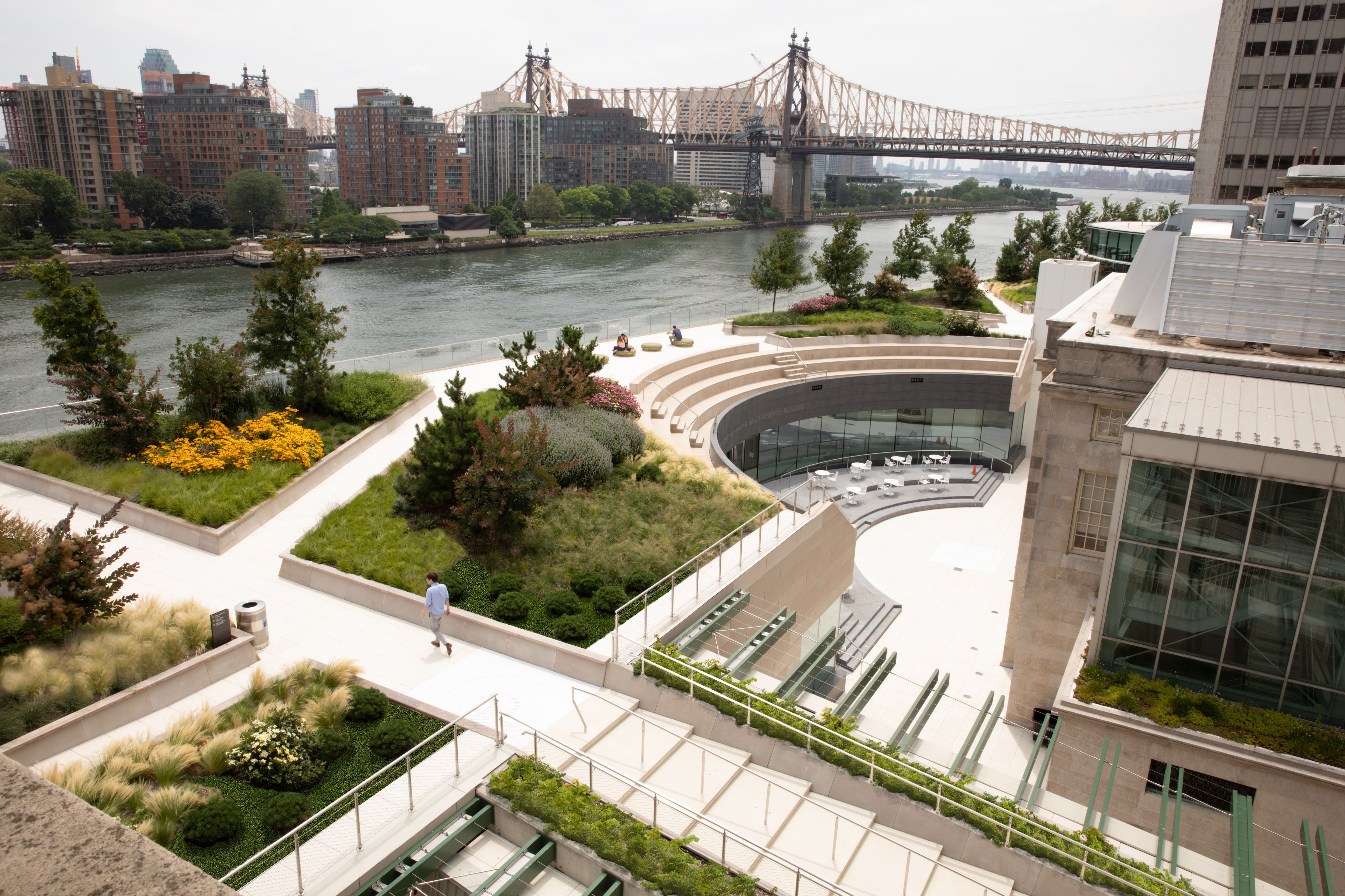 The Rockefeller University - CultureNow - Museum Without Walls