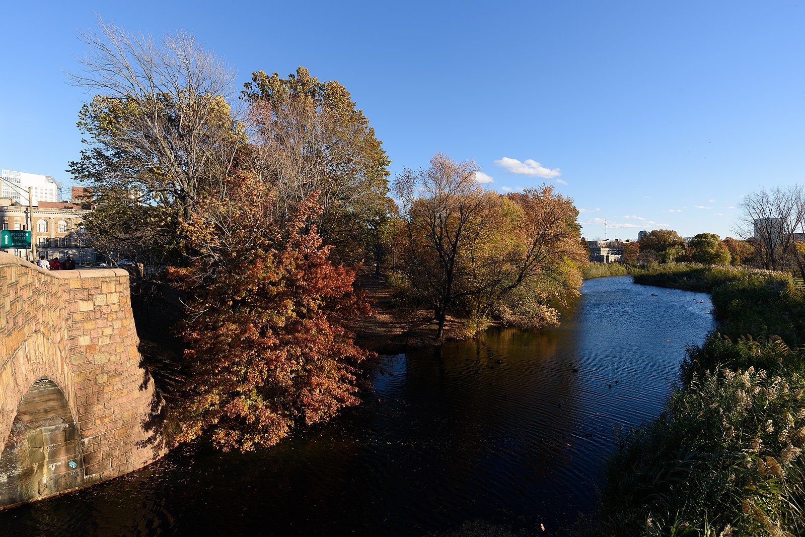 The Back Bay Fens CultureNow Museum Without Walls