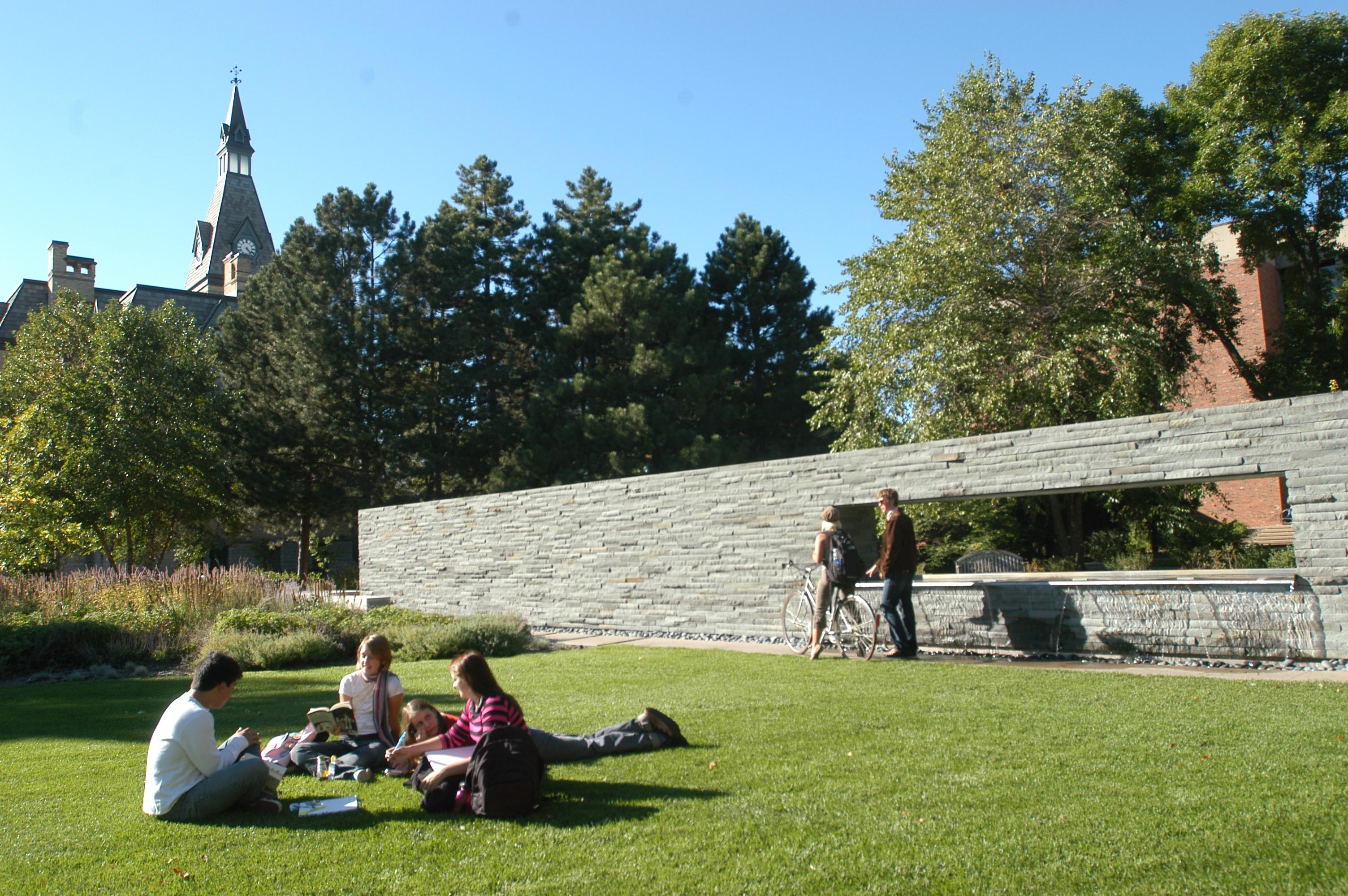 Hamline Blue Garden - CultureNow - Museum Without Walls