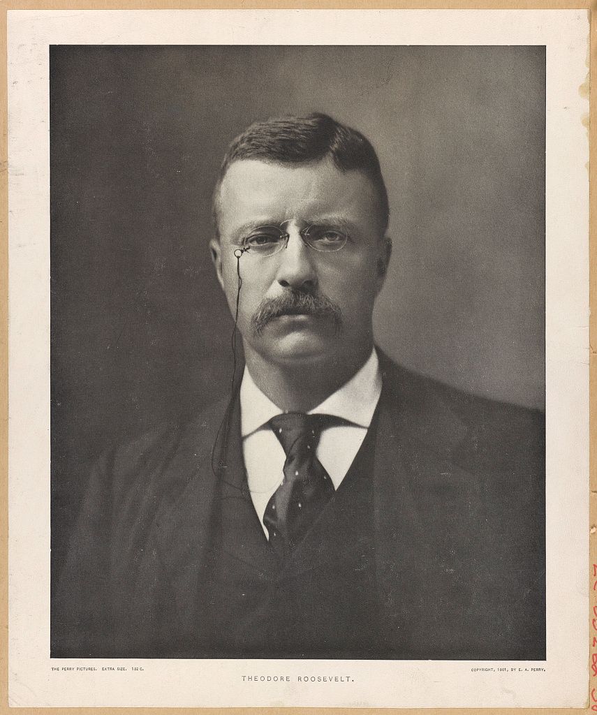 Theodore Roosevelt - CultureNow - Museum Without Walls, image size:855x1024