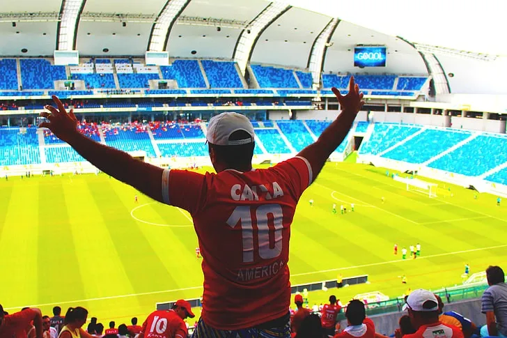 Royalty-Free photo: A soccer fan enjoys the football match in the sports stadium