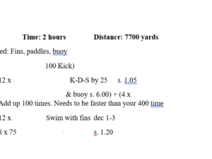 Long Distance Freestyle Single Workout #1.2