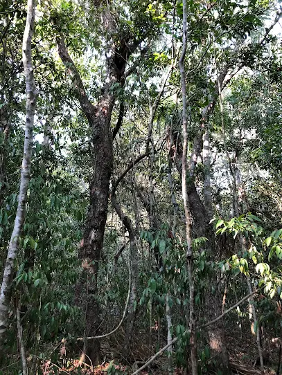 Lot / Land For Sale In Akumal [77734]
