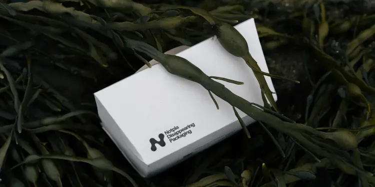 Notpla secures unprecedented £20 million (over US$25 million) in equity fundraising to drive US expansion and innovation in sustainable seaweed-based packaging, replacing over 100 million of single-use plastics
