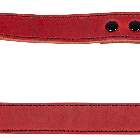 46 7280 JV BLACK LABEL Leash Red