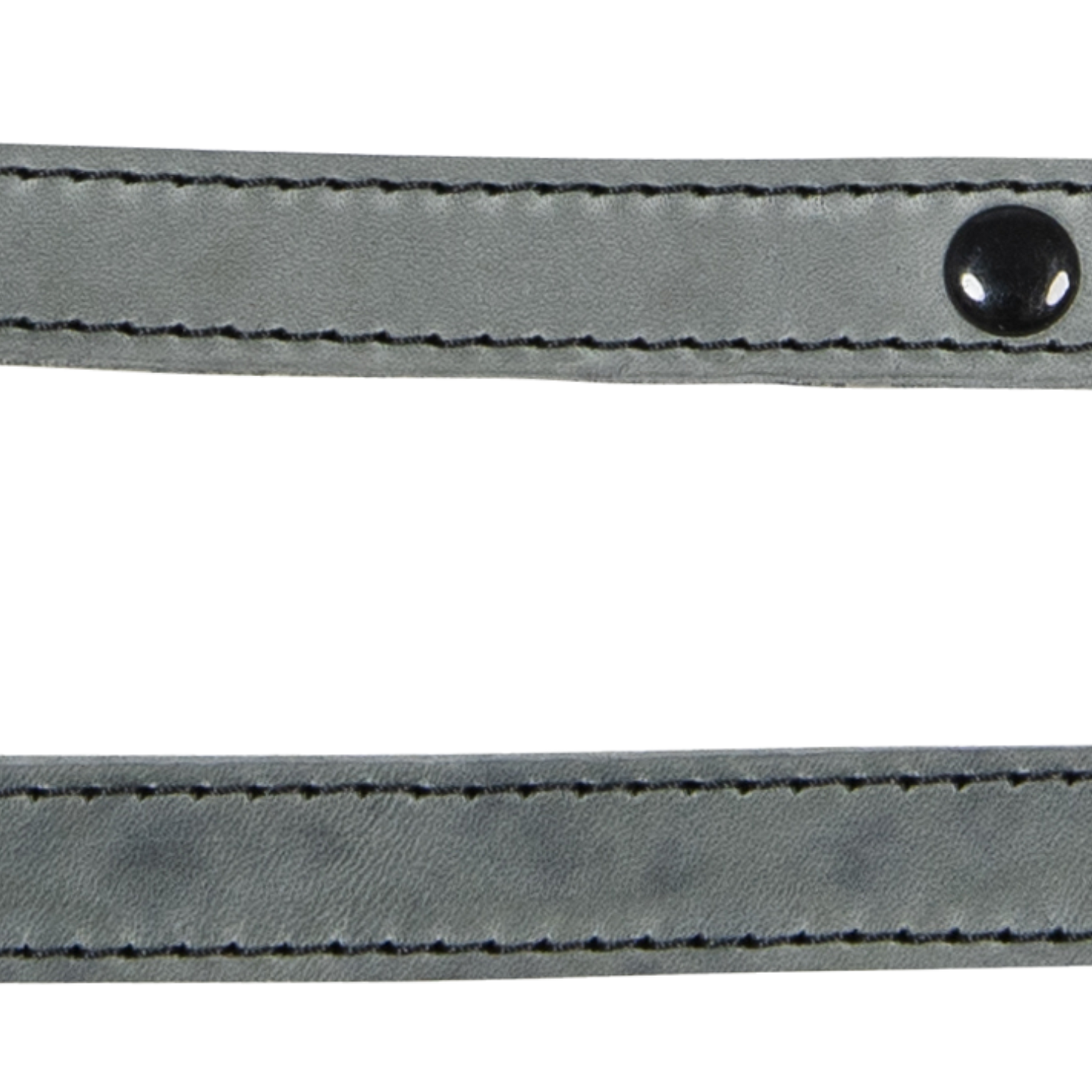 46 7255 JV BLACK LABEL Leash Grey