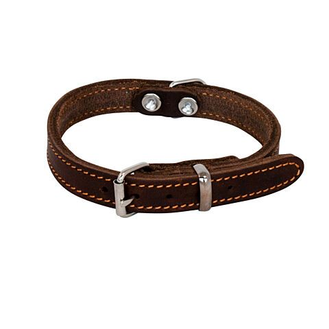 Halsband vetleder bruin timeless