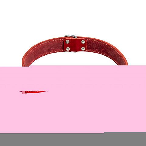 Halsband vetleder rood