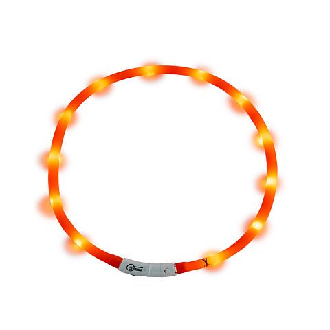 Led halsband jack and vanilla sport