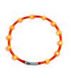 Led halsband jack and vanilla sport