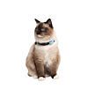 Tickless cat blauw a
