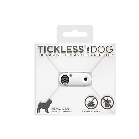 Tickless dog wit