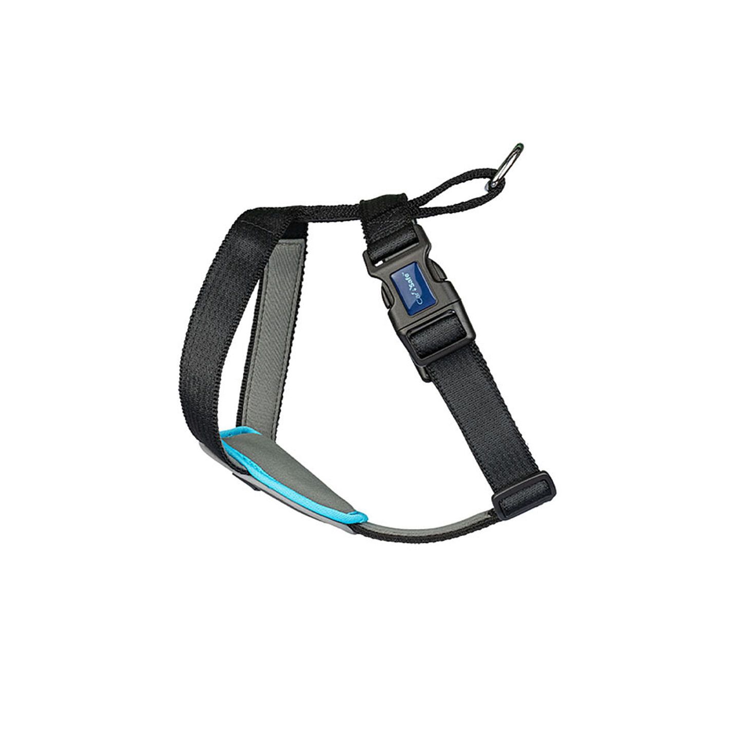 Carsafe 5