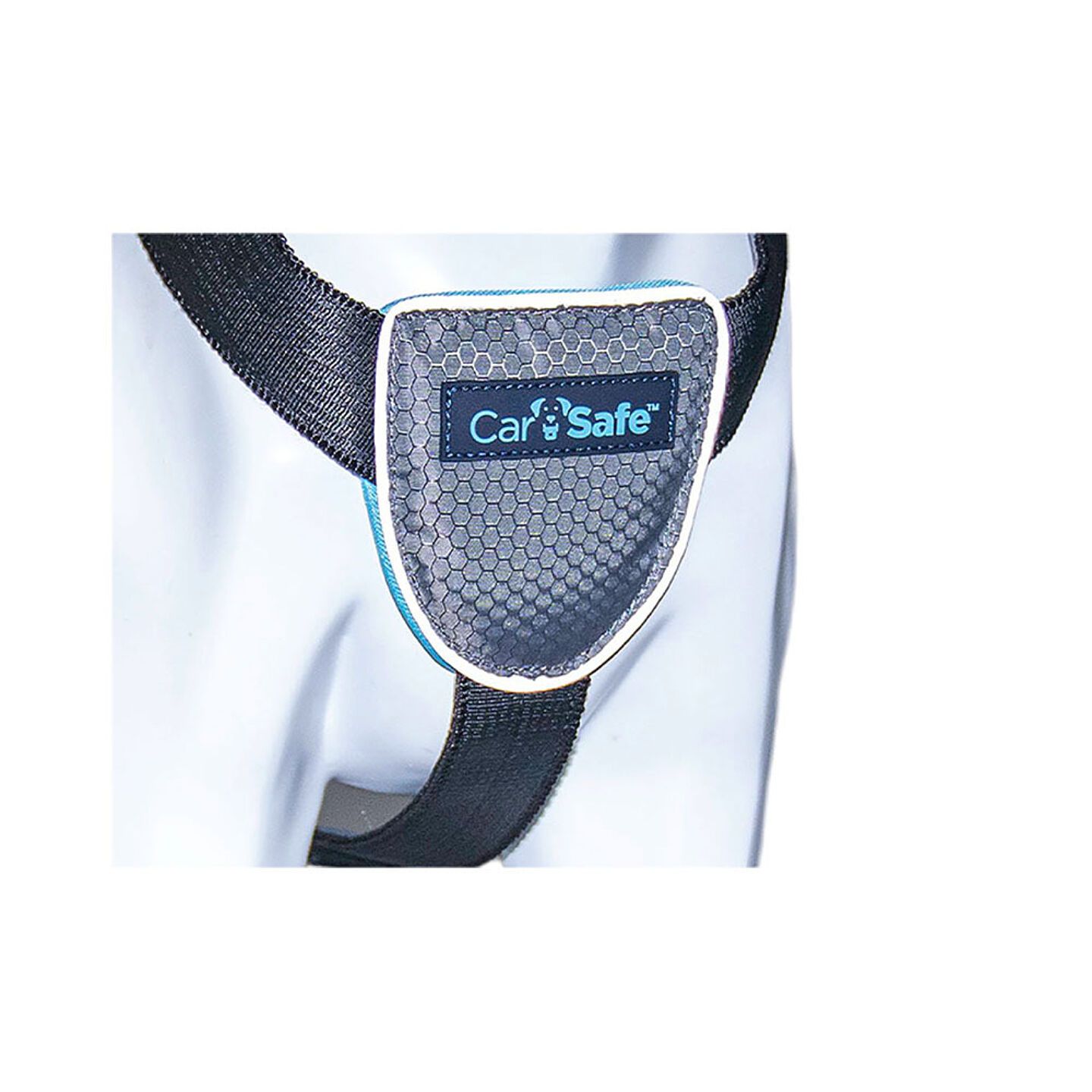 Carsafe 6