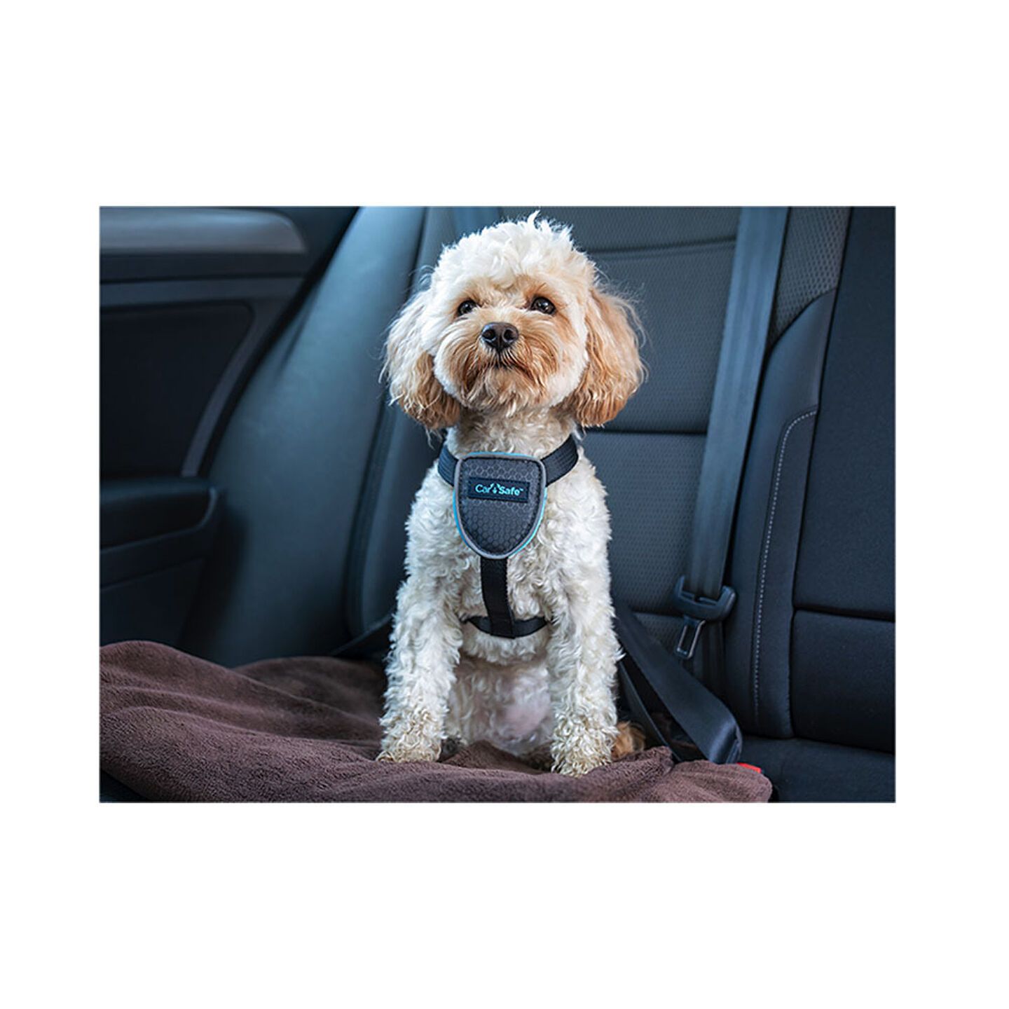 Carsafe8