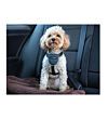 Carsafe8