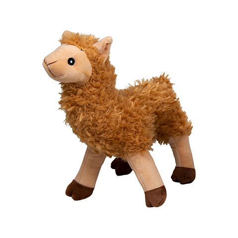 096447572501 alpaca bruin