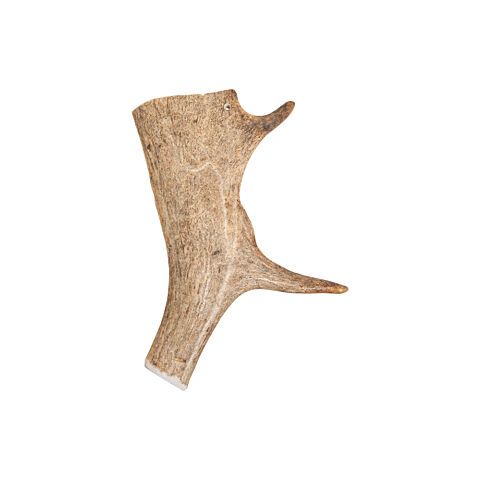 5415251041620 0007 00 deer antler