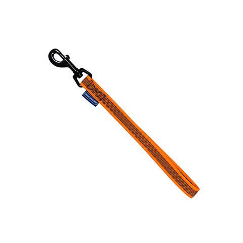 AB schor leash grip 20mm x 35cm oranje