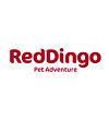Ab red dingo logo
